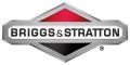 BRIGGS & STRATTON, США